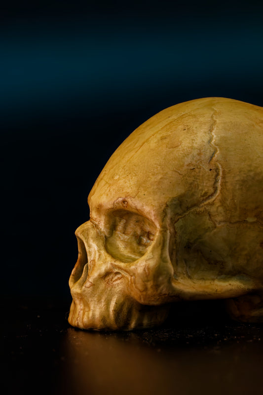 Skull (Replica colour finish)