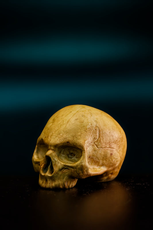 Skull (Replica colour finish)