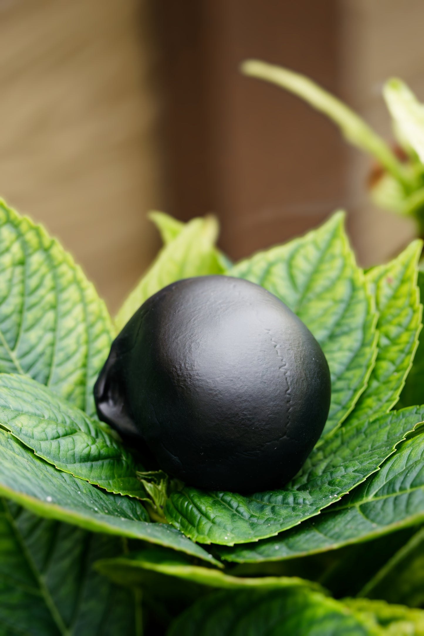 Skull Ornament (Satin Black)